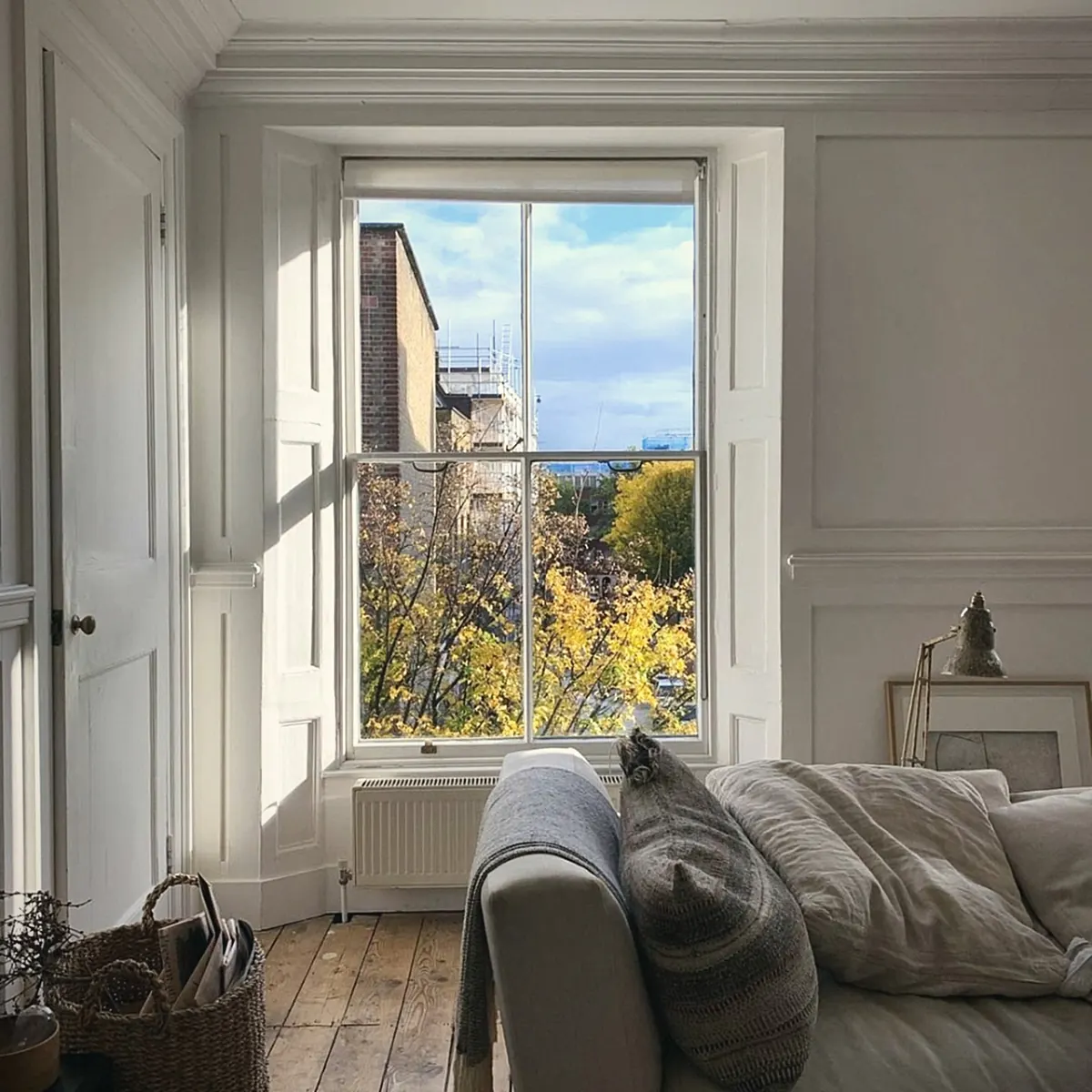 A tall sash window in a panelled room, looking out over trees