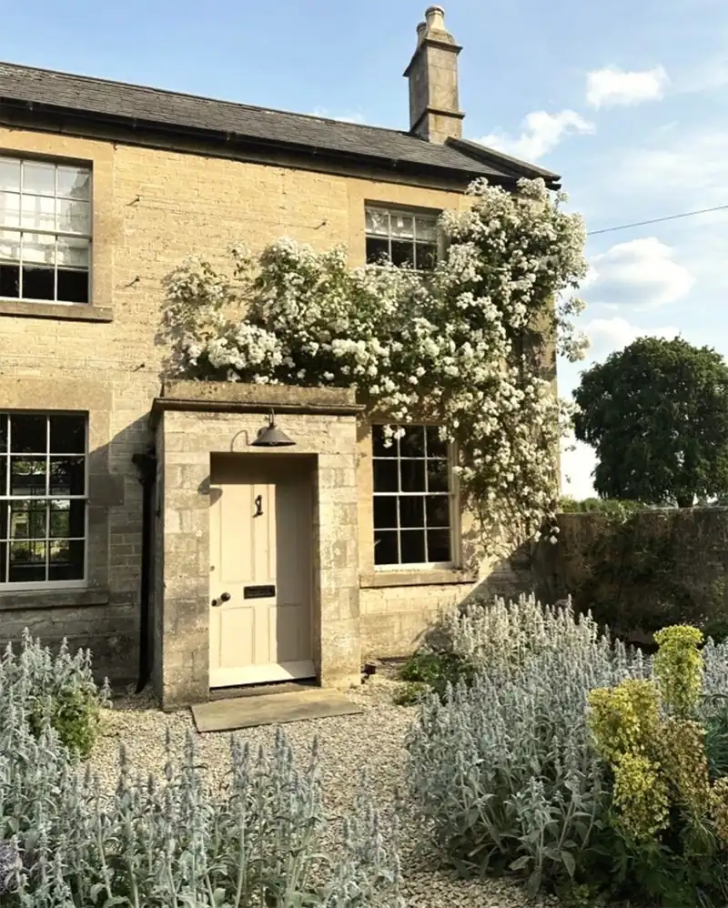 A stone cottage with white timber sash windows and a climbing rose